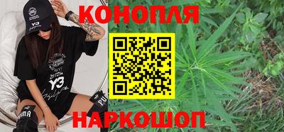 гашик Камышлов