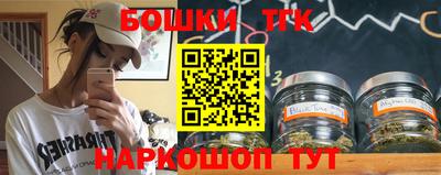 гашик Камышлов