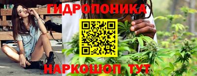 a pvp Канаш