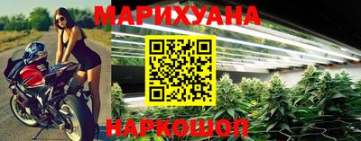 гашик Камышлов
