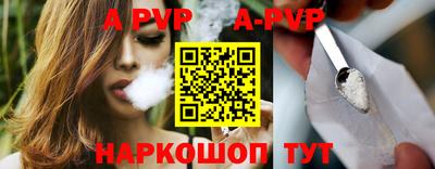 гашик Камышлов