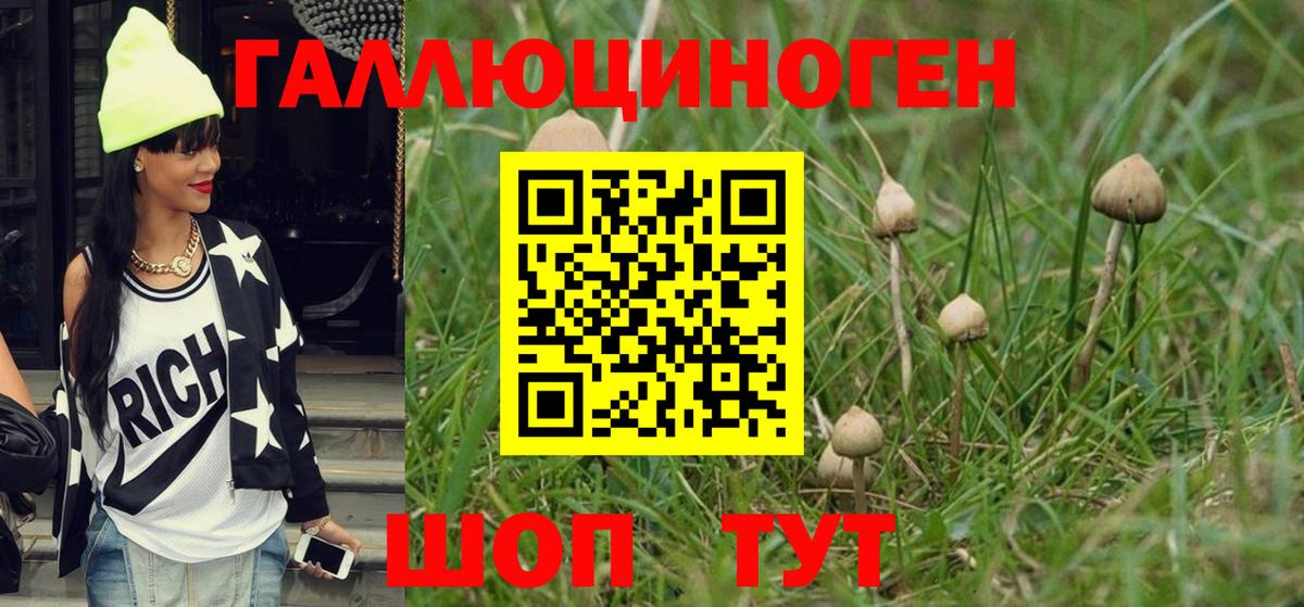 Галлюциногенные грибы мицелий  Галлюциногенные грибы мухоморы  Вход с VPN  Балтийск 